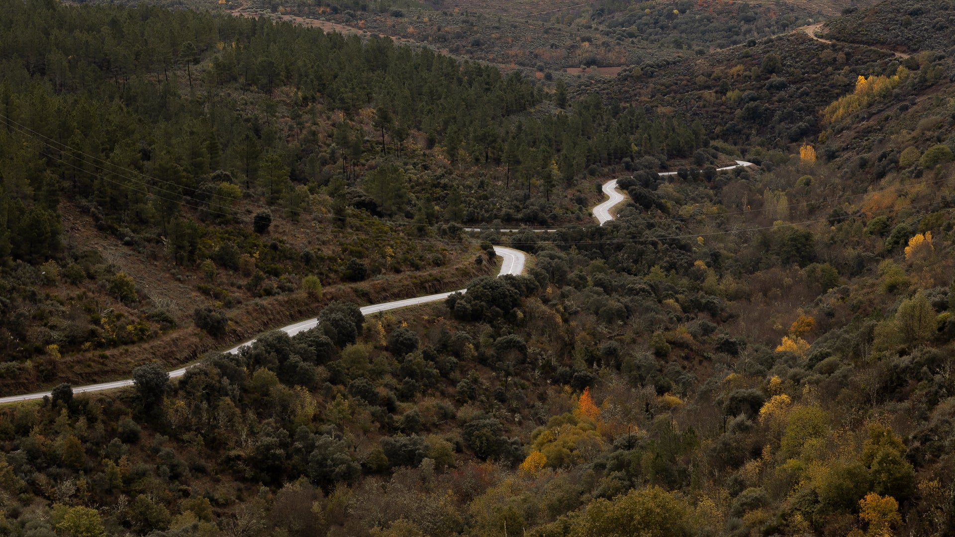 Cantaria - L'histoire Cantaria