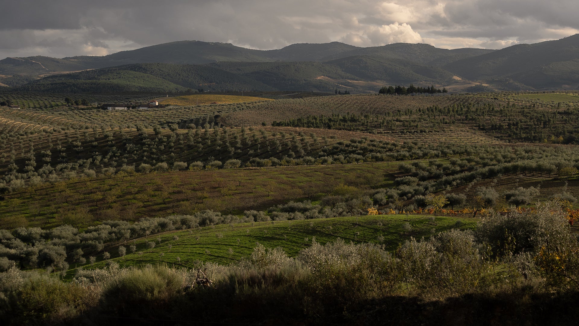 Cantaria - CANTARIA POUR LES PROFESSIONNELS