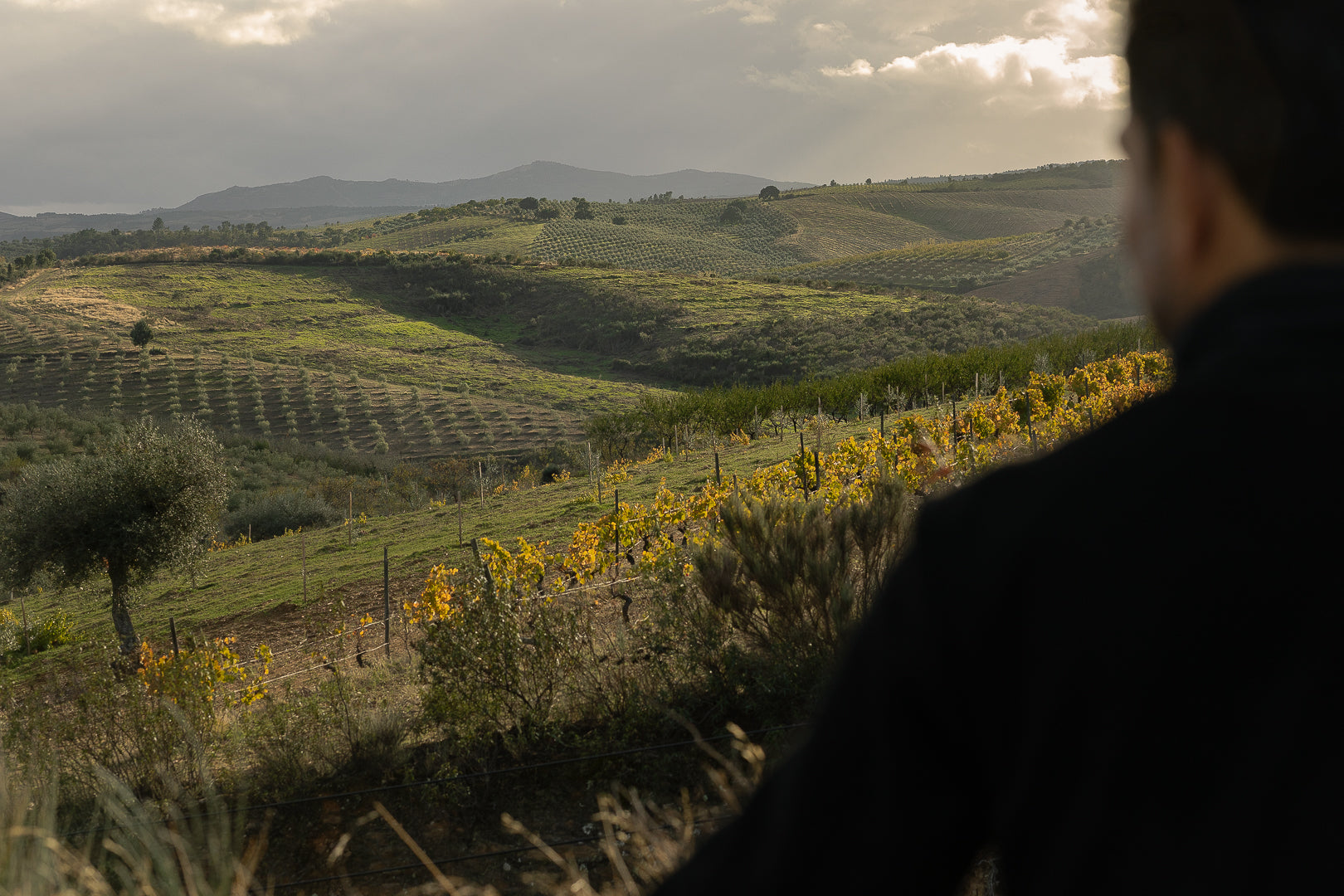 Cantaria - Notre engagement